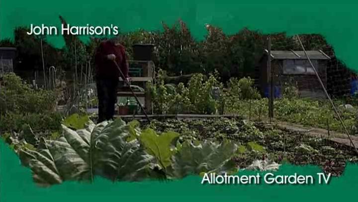 Allotment Garden TV